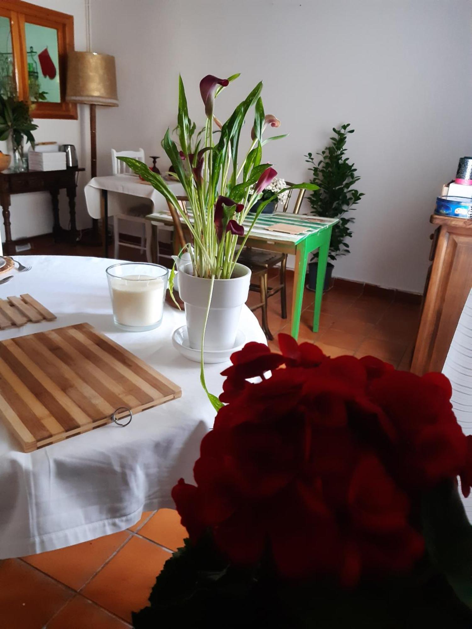 Musas Gastro Casa Rural Apartment Valdealgorfa ภายนอก รูปภาพ