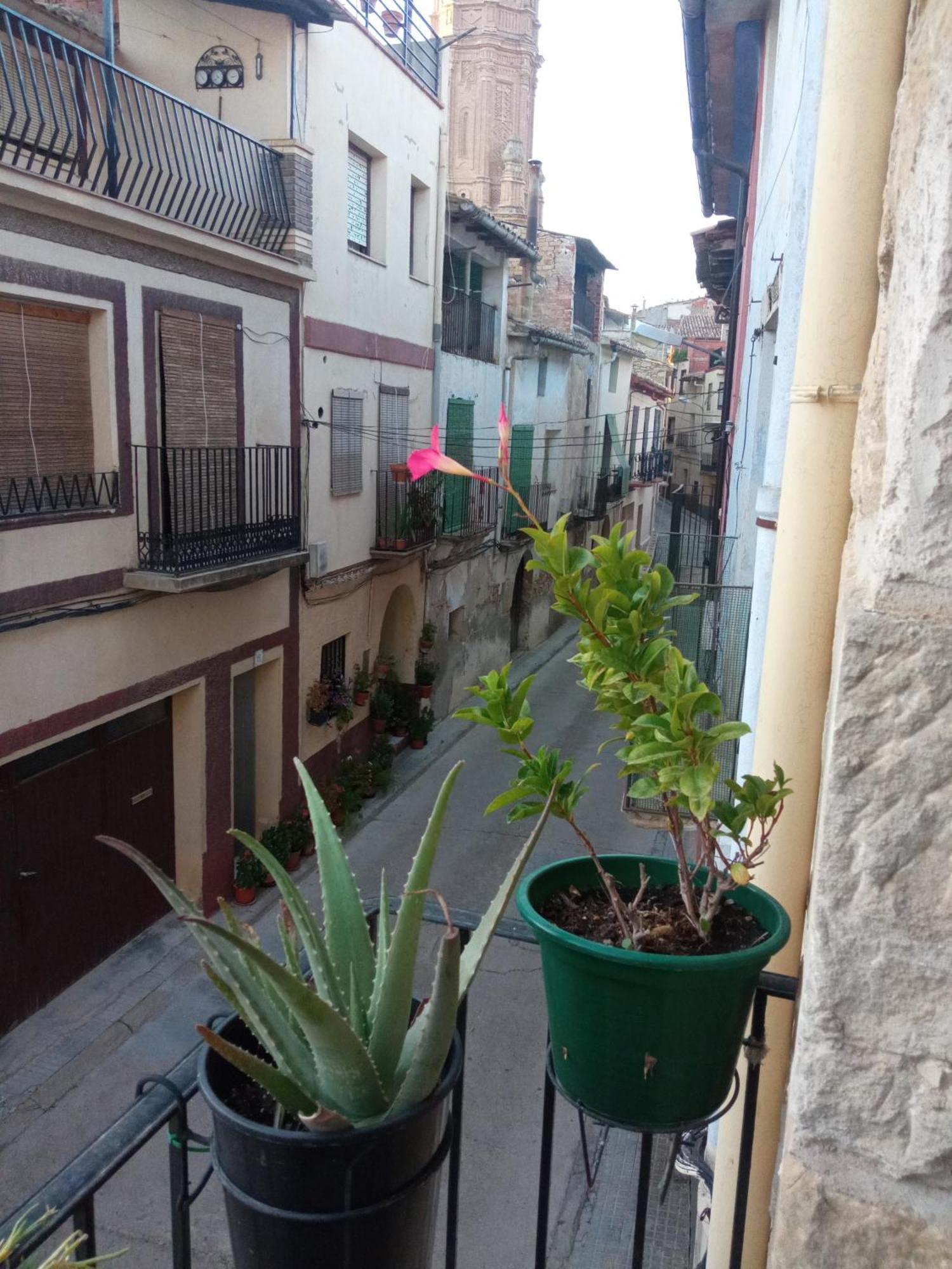 Musas Gastro Casa Rural Apartment Valdealgorfa ภายนอก รูปภาพ