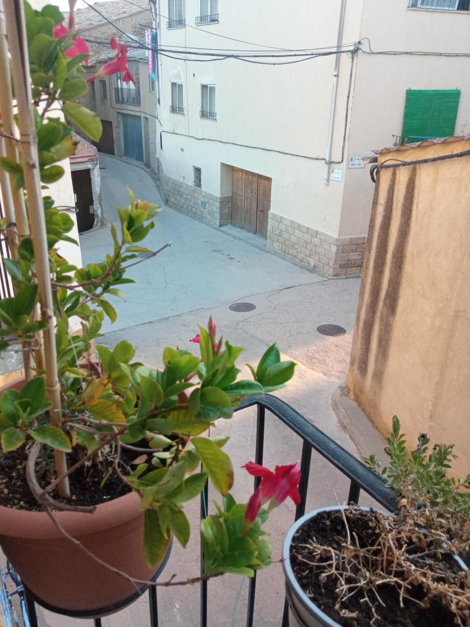 Musas Gastro Casa Rural Apartment Valdealgorfa ภายนอก รูปภาพ